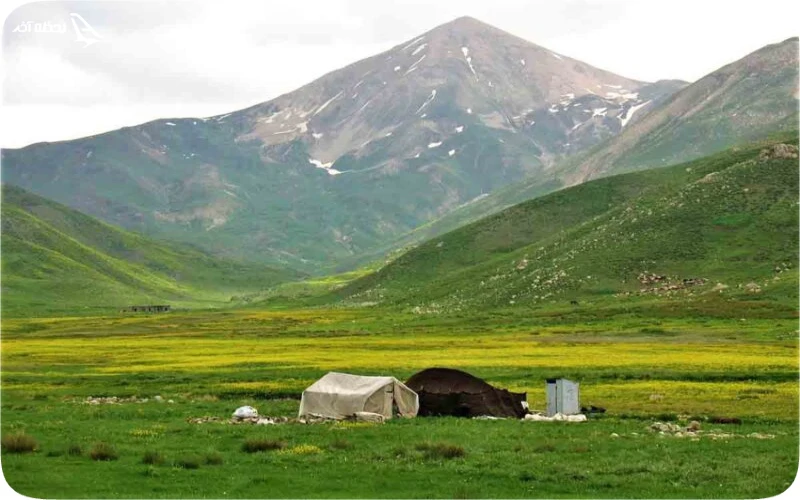 کارهایی که مردم پلور به انجام آن مشغول هستند کارهایی که مردم پلور به انجام آن مشغول هستند